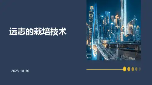 远志的栽培技术