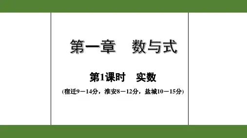 2020年江苏中考数学复习第1章第1课时  实数