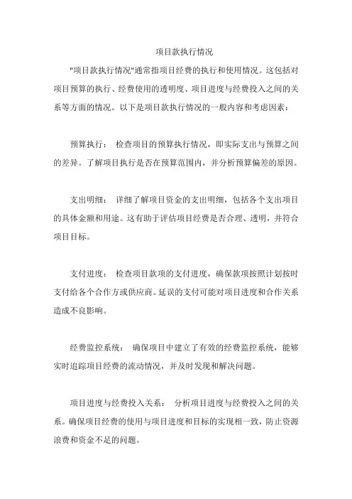 项目款执行情况