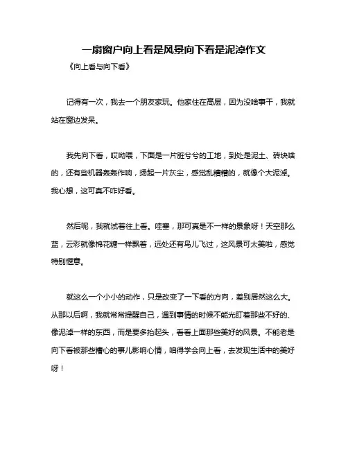 一扇窗户向上看是风景向下看是泥淖作文