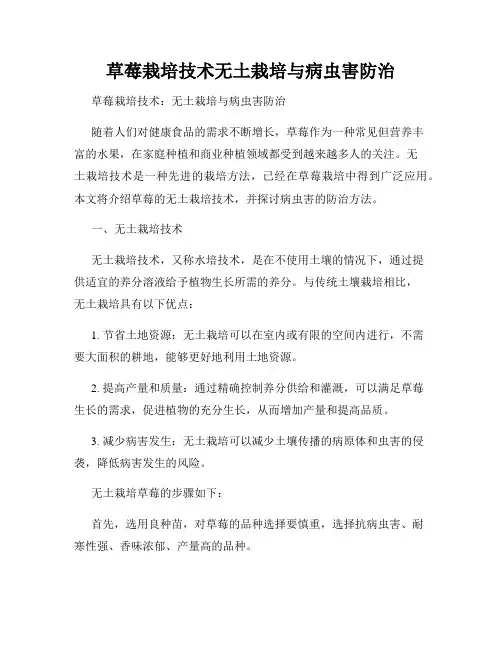 草莓栽培技术无土栽培与病虫害防治