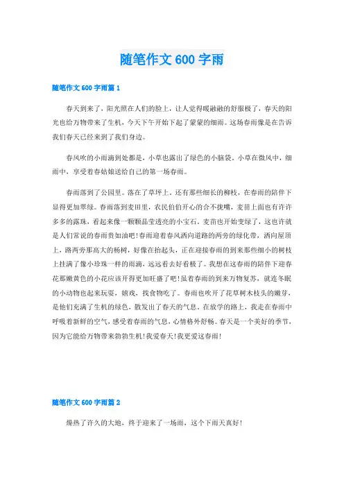 随笔作文600字雨