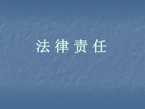法律责任