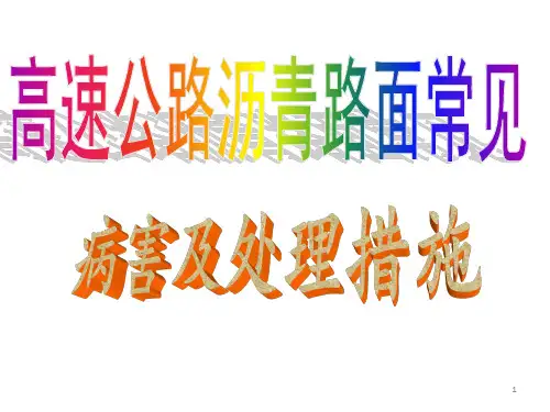 沥青路面常见病害及处理 (2)ppt课件