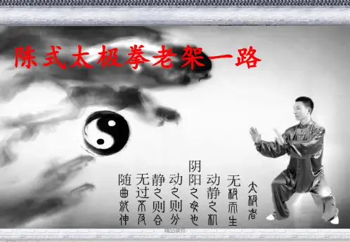 陈式太极拳老架一路(图文详解超经典)