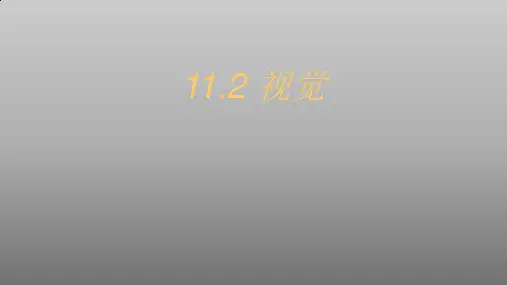 牛津上海版(五四学制)科学七年级上册：11.2 视觉  课件(共52张PPT)