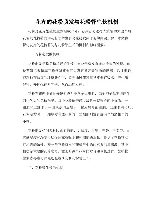 花卉的花粉萌发与花粉管生长机制