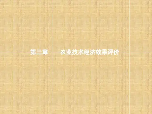 农业技术经济效果评价