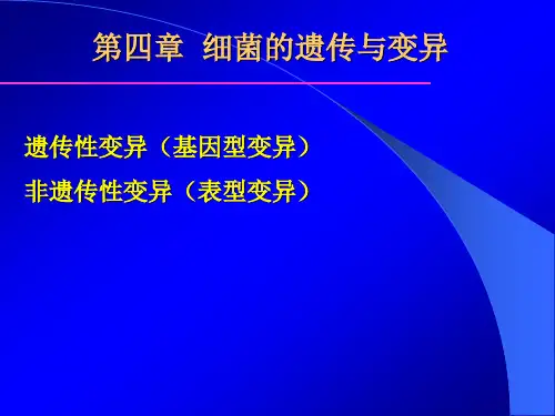 医学微生物学- 细菌的遗传与变异