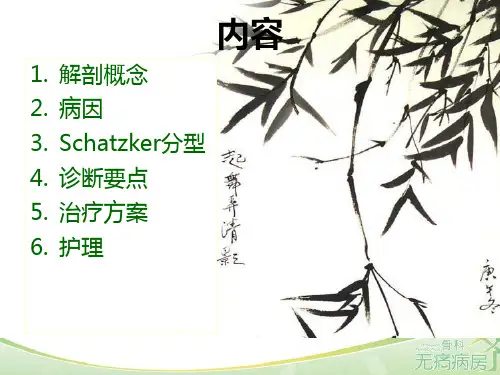 胫骨平台骨折的护理培训课件