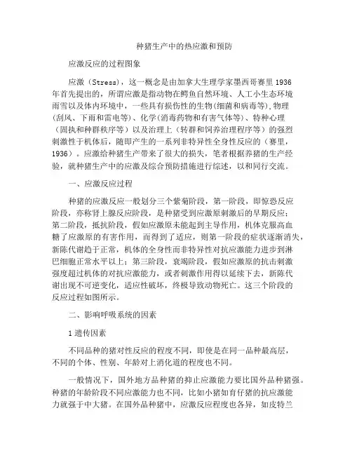 种猪生产中的热应激和预防