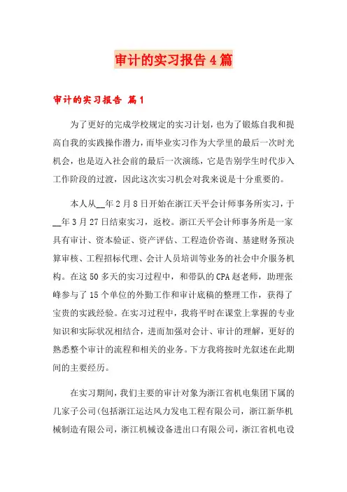 审计的实习报告4篇