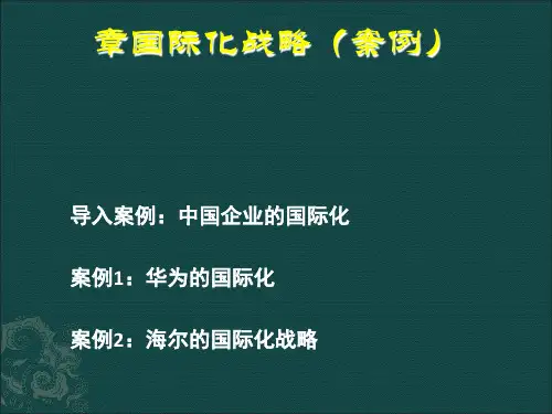 企业国际化战略案例(PPT30张)