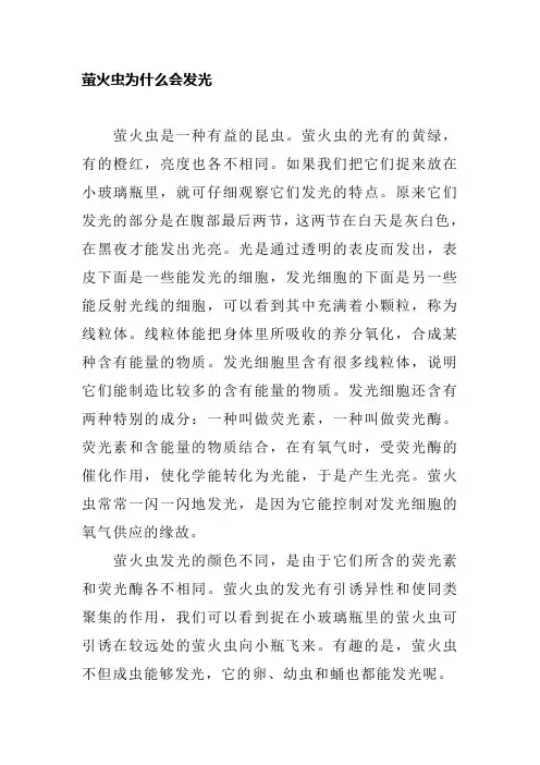 萤火虫为什么会发光