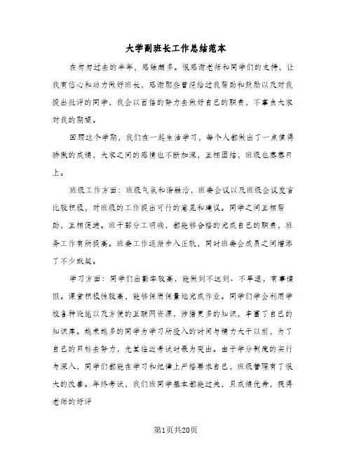 大学副班长工作总结范本(6篇)