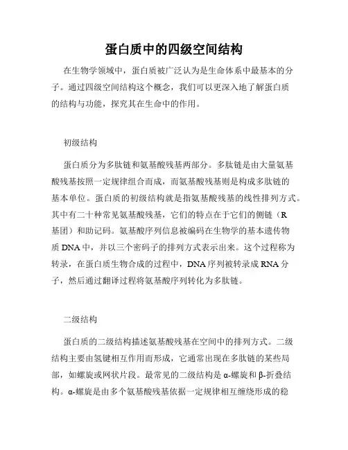 蛋白质中的四级空间结构