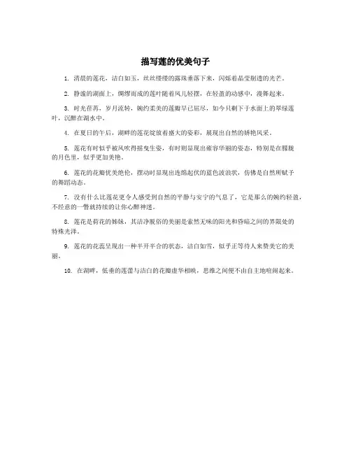 描写莲的优美句子
