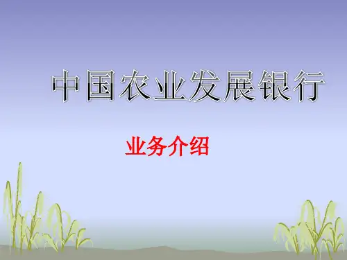 中国农业发展银行——业务介绍