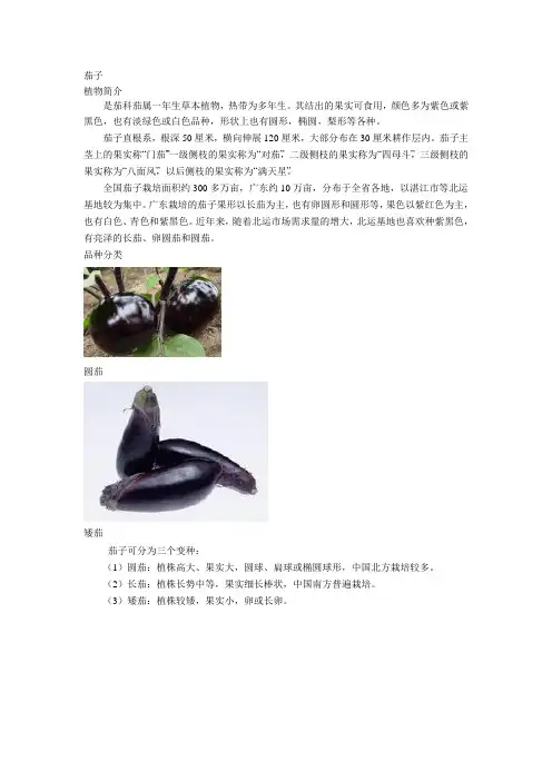 水果蔬菜知识