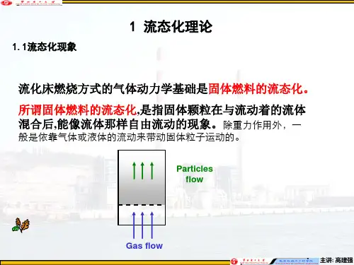 第2章 气固两相流理论汇总