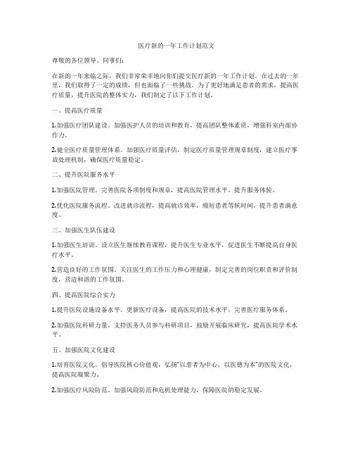 医疗新的一年工作计划范文