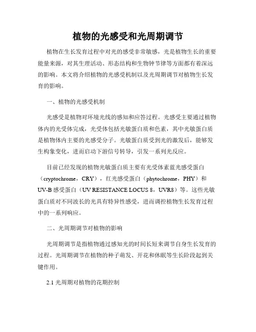 植物的光感受和光周期调节