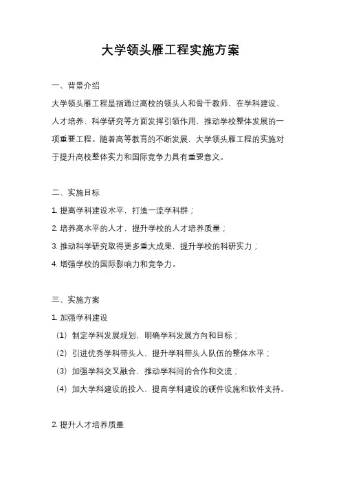 大学领头雁工程实施方案