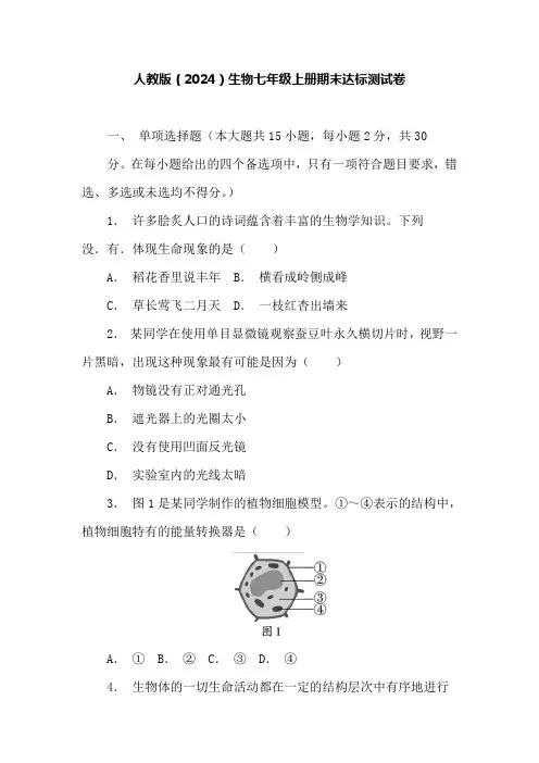期末达标测试卷2024--2025学年+人教生物七年级上册