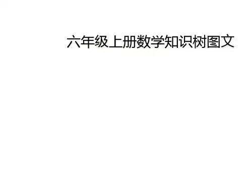 六年级上册数学知识树图文