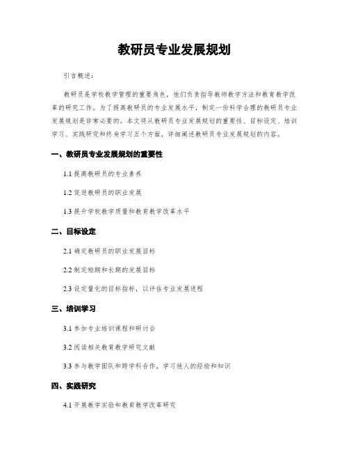 教研员专业发展规划