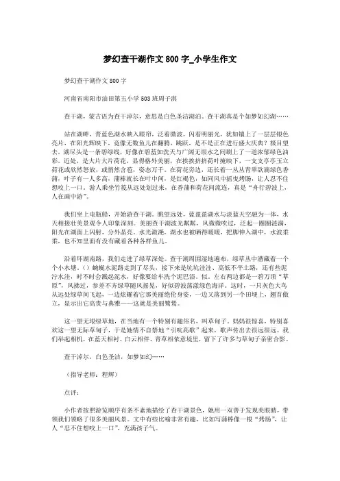 梦幻查干湖作文800字_小学生作文.doc