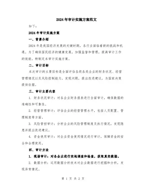 2024年审计实施方案范文