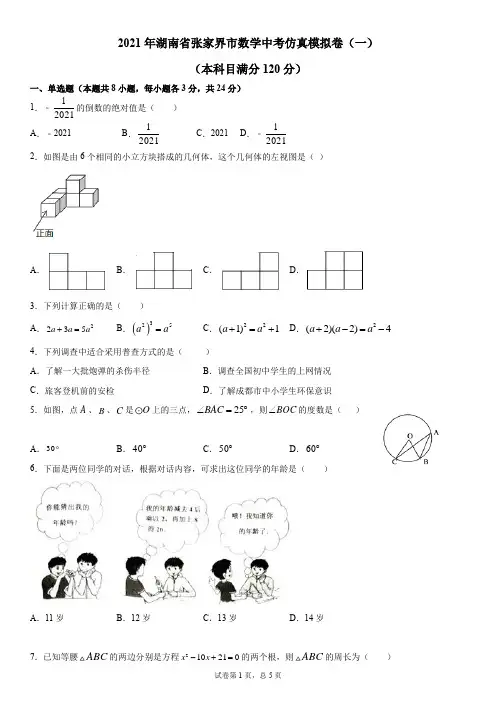 2021年湖南省张家界市九年级数学中考仿真模拟卷(一)
