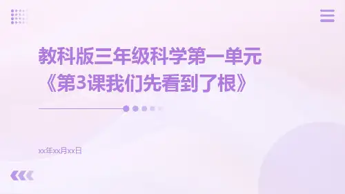 教科版三年级科学第一单元《第3课我们先看到了根》
