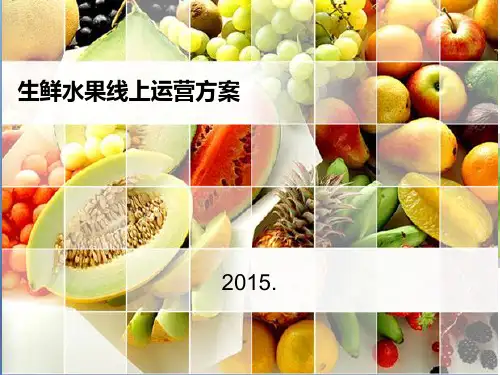 生鲜水果电商平台PPT课件