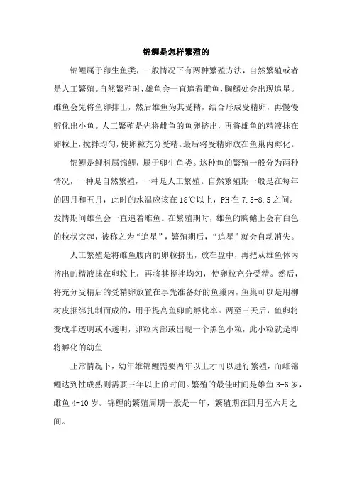 锦鲤是怎样繁殖的