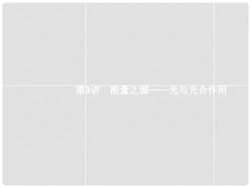 高三生物一轮复习 3.3能量之源光与光合作用课件
