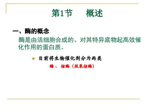 第生物化学酶_PPT幻灯片