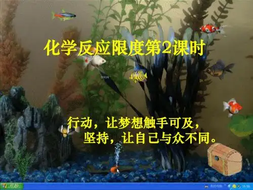 高中化学课件必修二《第二章 第三节 化学反应限度》