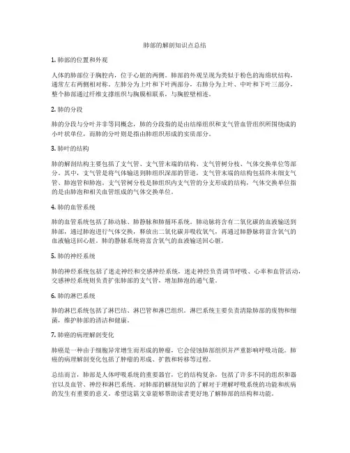 肺部的解剖知识点总结