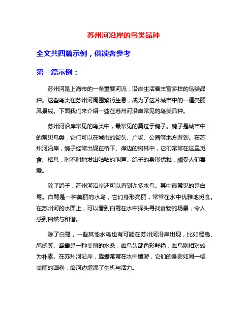 苏州河沿岸的鸟类品种