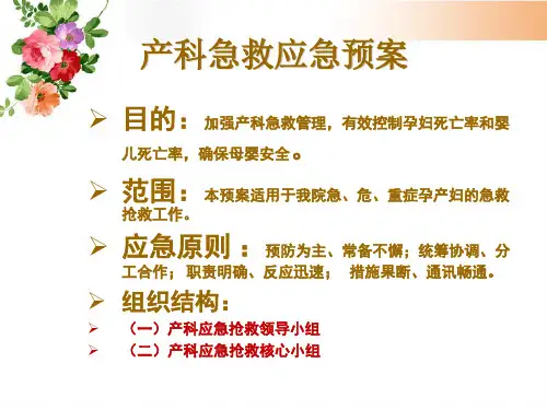 产科应急预案.pptPPT31页