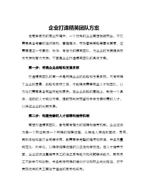企业打造精英团队方案