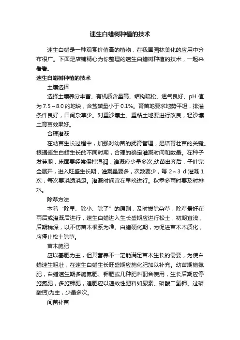 速生白蜡树种植的技术