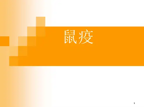 鼠疫最新ppt课件