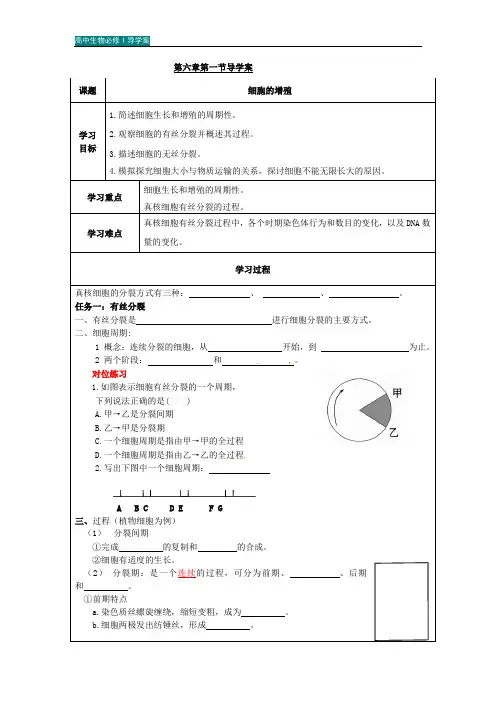 高中生物必修1导学案：第6单元 细胞的生命历程