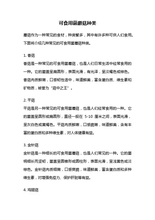 可食用菌蘑菇种类