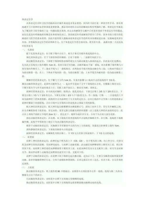 体表定位学