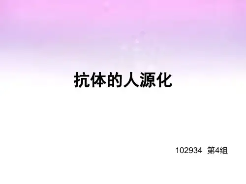 抗体的人源化