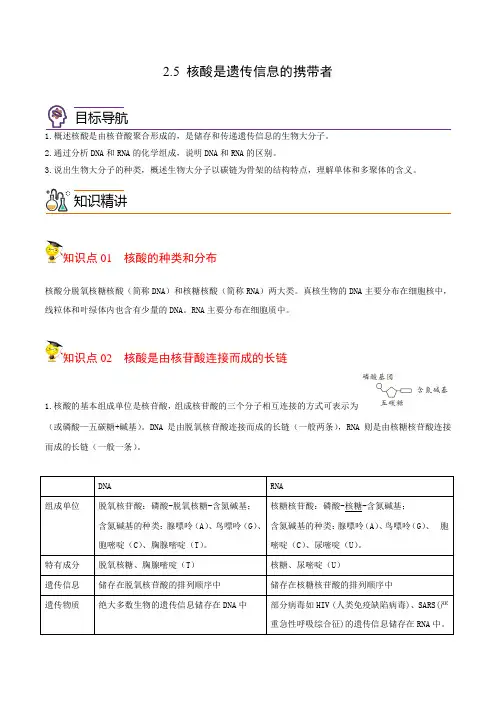 .5核酸是遗传信息的携带者(学生版)-高一生物同步精品讲义(人教2019必修1)